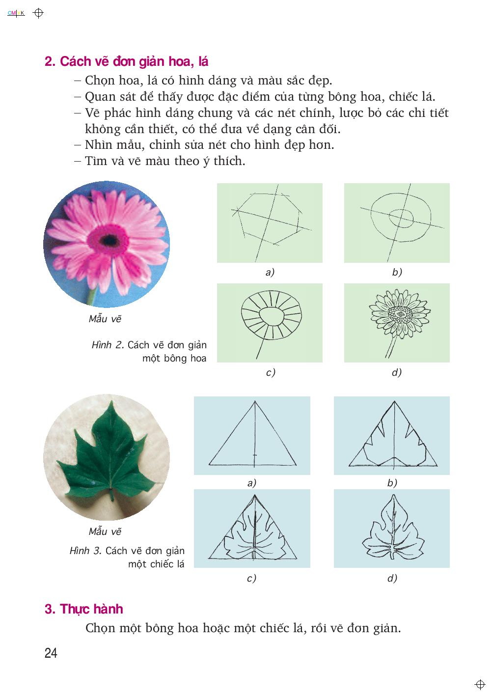 Vẽ trang trí: Vẽ đơn giản hoa, lá | Pupi - Học vui & tiến bộ